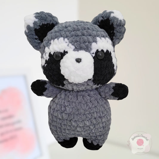 Rocky Racoon