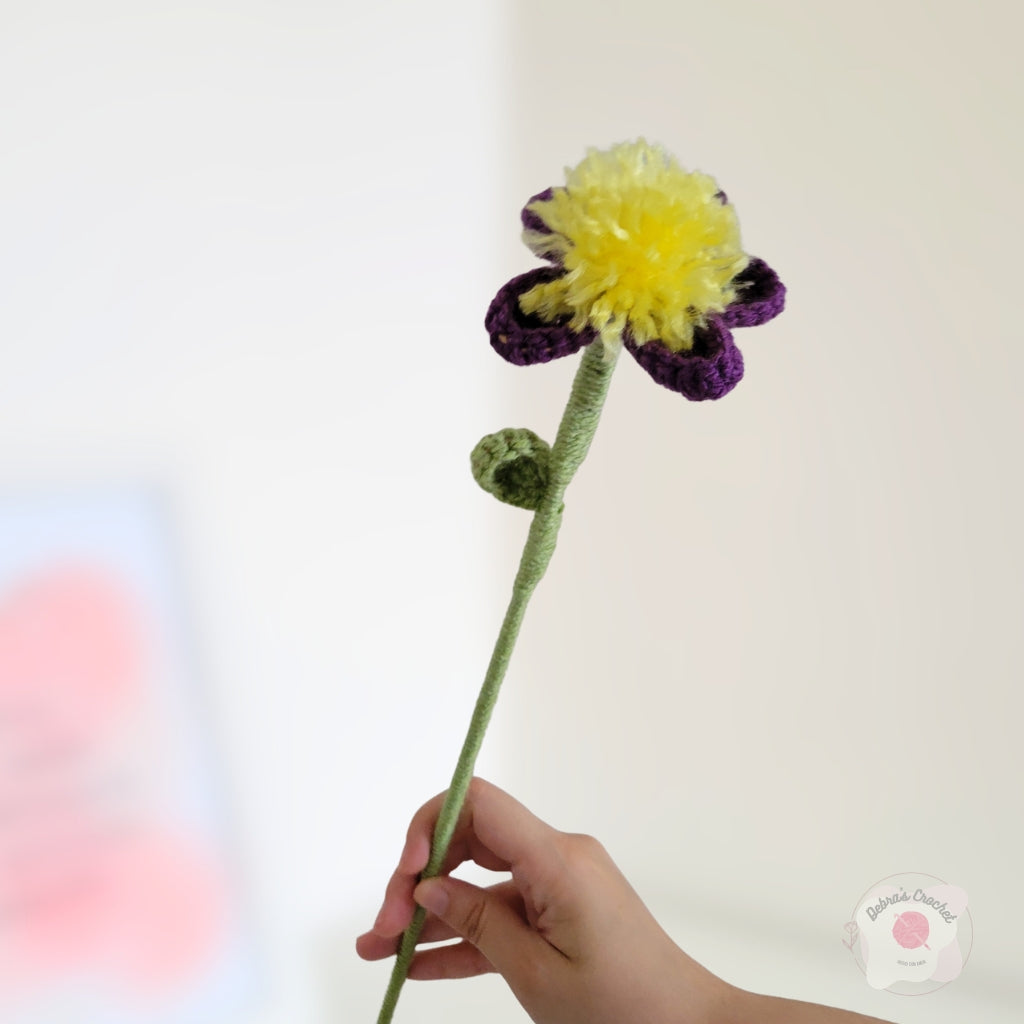 Flor 5 pétalos