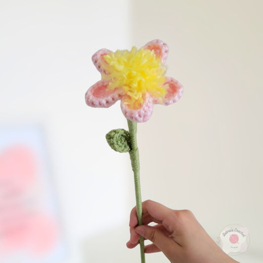 Flor 5 pétalos