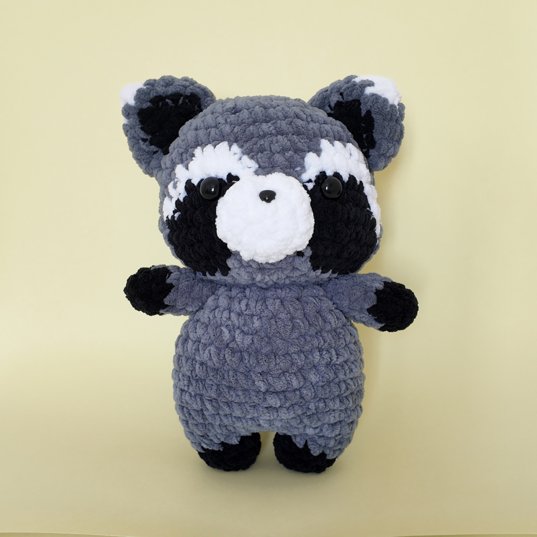 Rocky Racoon