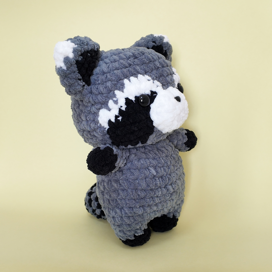 Rocky Racoon