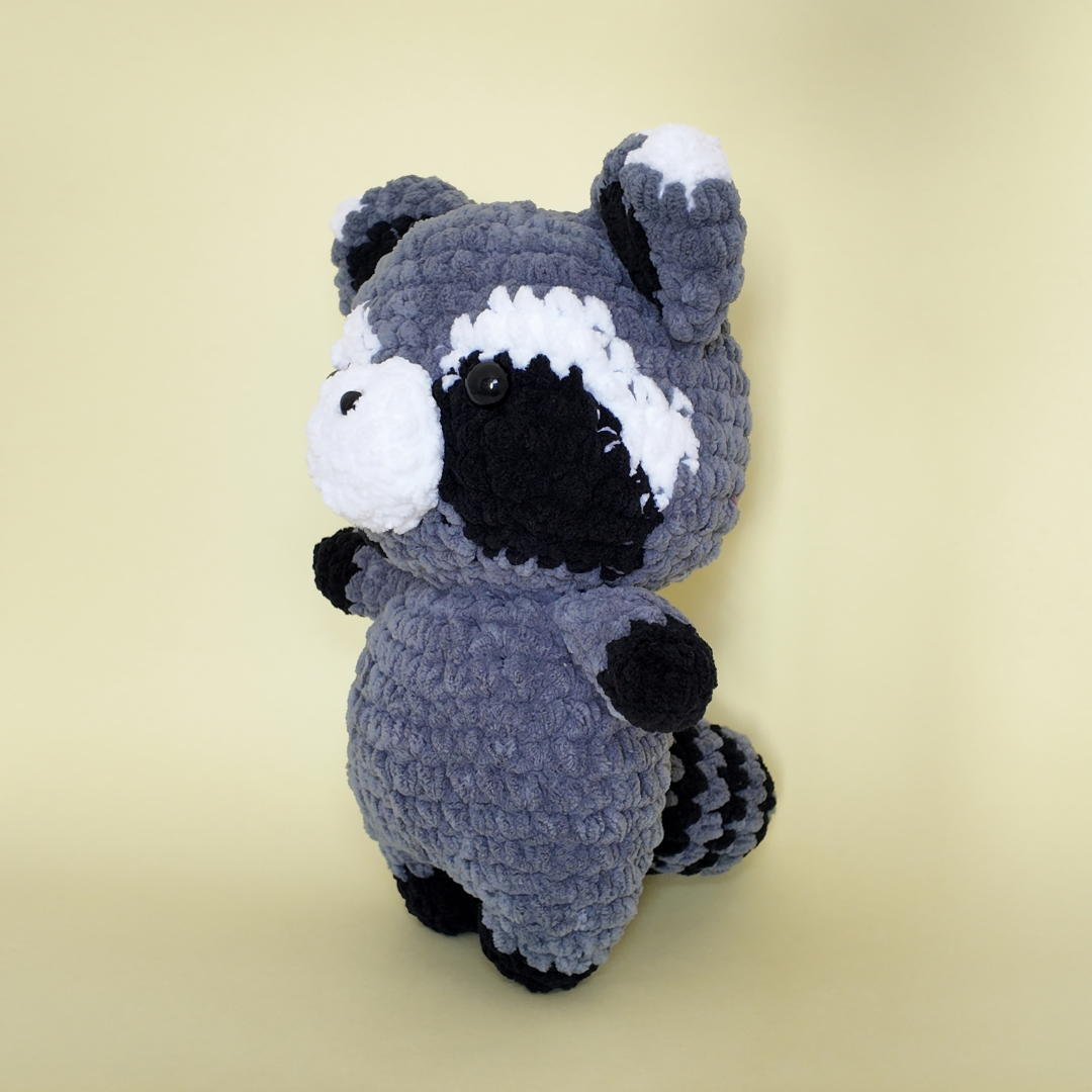 Rocky Racoon