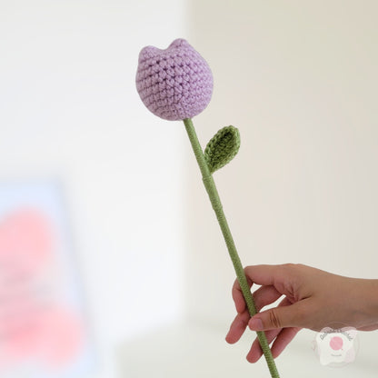 Tulipán