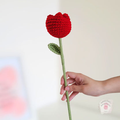 Tulipán